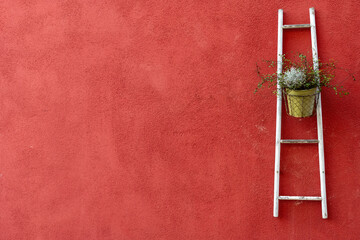 Bright red wall with a white ladder and a potted plant enhances the charm of the outdoor space in...