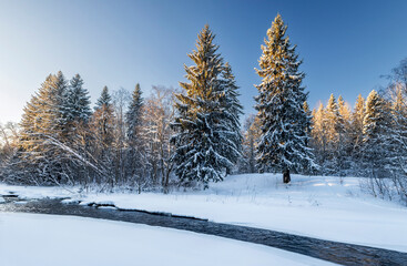 Snowy fir-trees in forest and river in winter. Beautiful landscape. Composition of nature. Karelia, Russia.