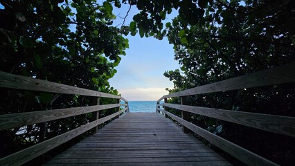 wooden pier leading to the ocean surrounded by greenery