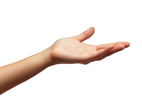 n open human hand. palm facing upwards. against a plain white background this pose suggests an invitation or readiness to receive. symbolizing openness and generosity the hand is well-defined. showcas