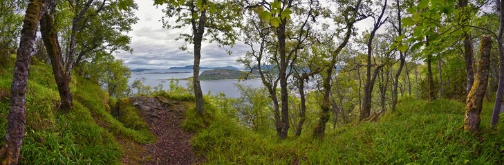 Coastline Fjord views from Alesund, Norway from hiking trail above the city, travel scenery Scandinavia Europe