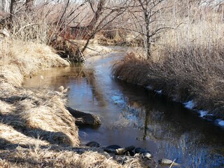 Creek flowing through winter meadow, Colorado