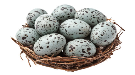 Obraz premium Eggs in nest transparent background