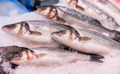 Lubina or sea bass in ice on a fish market counter closeup