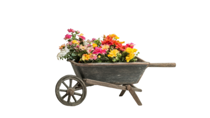 Wooden cart with flowers transparent background