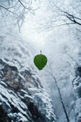 Single green leaf hangs, snowy branches, winter scene.