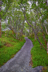 Fototapeta premium Aselund hiking from Sukkertoppen, The Sugar Top trail views, coast and fjord, World War Bunkers, Norway, Scandinavia Europe.