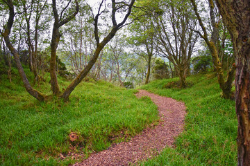 Aselund hiking from Sukkertoppen, The Sugar Top trail views, coast and fjord, World War Bunkers, Norway, Scandinavia Europe.
