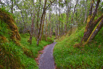 Aselund hiking from Sukkertoppen, The Sugar Top trail views, coast and fjord, World War Bunkers, Norway, Scandinavia Europe.