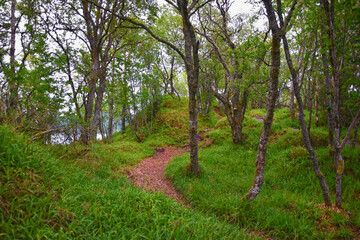Aselund hiking from Sukkertoppen, The Sugar Top trail views, coast and fjord, World War Bunkers, Norway, Scandinavia Europe.