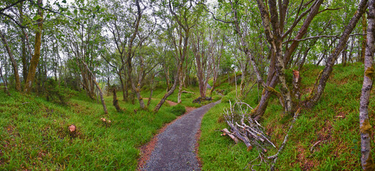Aselund hiking from Sukkertoppen, The Sugar Top trail views, coast and fjord, World War Bunkers, Norway, Scandinavia Europe.