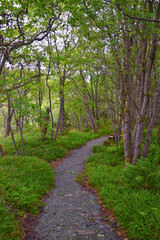 Aselund hiking from Sukkertoppen, The Sugar Top trail views, coast and fjord, World War Bunkers, Norway, Scandinavia Europe.