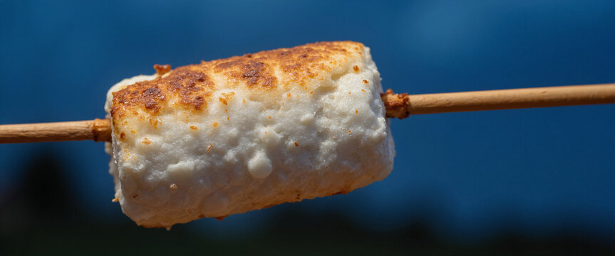 Toasted marshmallow on a wooden skewer against a blurred blue background representing joyful outdoor gatherings