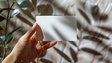 Top-View Business Card Display