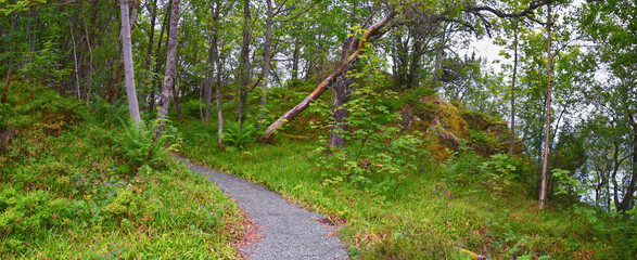 Aselund hiking from Sukkertoppen, The Sugar Top trail views, coast and fjord, World War Bunkers, Norway, Scandinavia Europe.