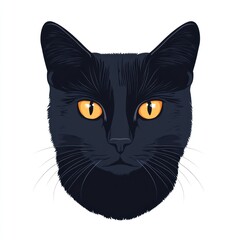 Black cat portrait, intense gaze, white background, pet profile, website avatar