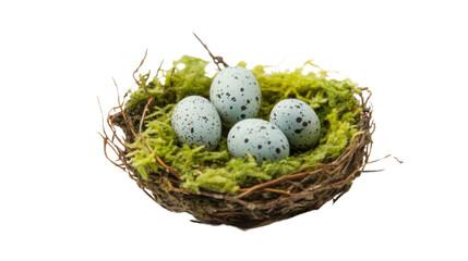 Obraz premium Eggs in nest transparent background