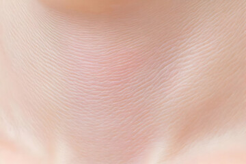 Fototapeta premium Close-Up Photo Reveals Intricate Skin Texture and Fine Lines in Soft Light