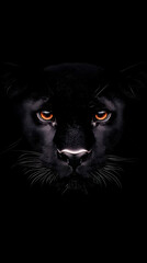 Black Panther Portrait with Intense Gaze in the Dark Night Mysteriously