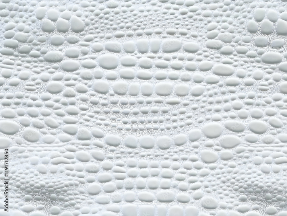 Poster white bumpy textured background forms an abstract pattern with raised circular shapes and fine lines