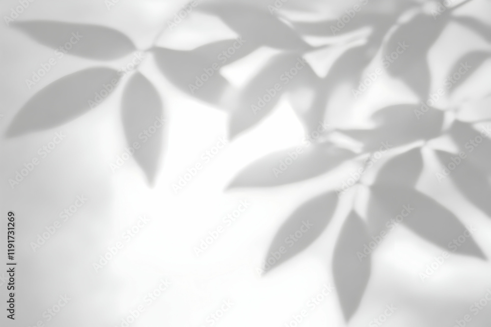 Poster abstract background with soft shadows of leaves creates a gentle and serene atmosphere.