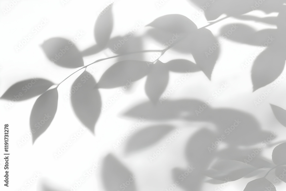 Aufkleber soft gray shadows of leaves create an abstract background on a white surface.