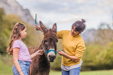 Woman and girl taking care of donkey in animal sanctuary, asturias, spain