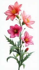Obraz premium Set Of Various Beautiful Blooming Flowers Isolated On White Background