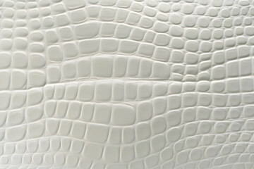 Close-up of White Crocodile Leather Texture Shows Detailed Scales and Elegant Pattern