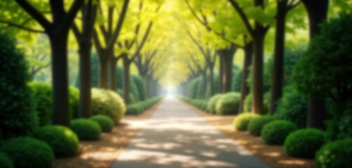 Park path extends through spring greenery. Light shines at tunnel end. Symbolic image of hope, loss in nature. Calm, peaceful atmosphere. Beautiful springtime day in park. Ideal for memorial concept