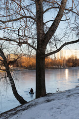Frozen city pond and silhouette of fisherman on the ice on a winter day, winter landscape