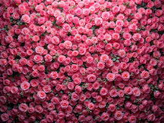 Beautiful arrangement of pink roses for a romantic setting.