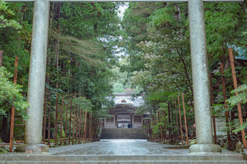 新潟　弥彦神社