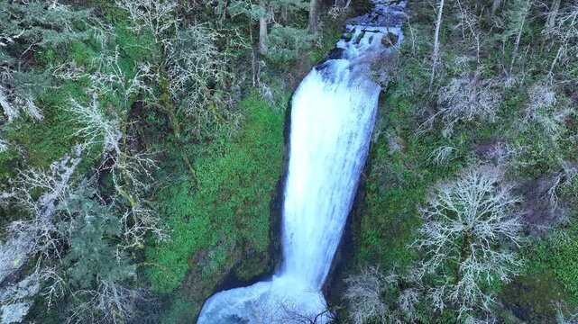 The spectacular Bridal Veil Falls flows through a healthy forest in the Columbia River Gorge National Scenic Area, Oregon. The gorge, not far from Portland, contains a plethora of scenic waterfalls.