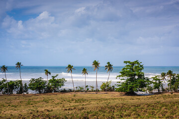 Lawn bordered by palm trees looking out to Play Maria (Maria Beach) in Rincon, Puerty Rico.