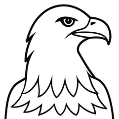 Obraz premium eagle head vector illustration