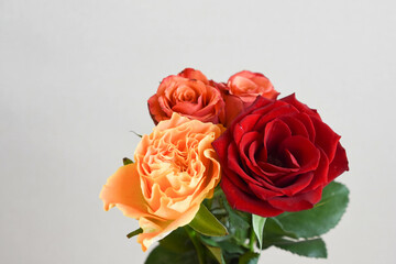 赤とオレンジ色のばら