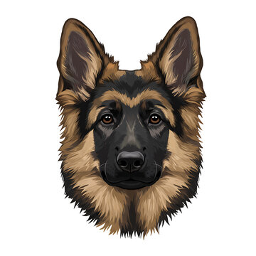 recommend clip art: simple cartoon clipart german shepard dog white background