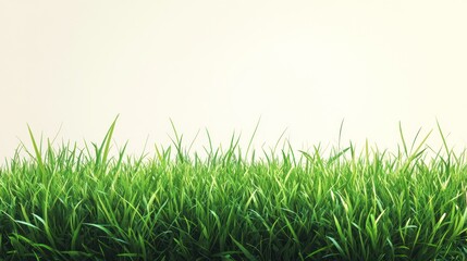 Obraz premium Lush green grass against a white background.