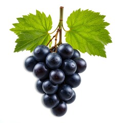 black grapes fresh fruit and white background  