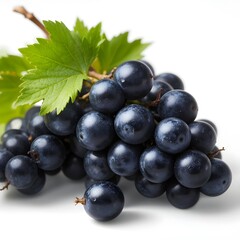 black grapes fresh fruit and white background  