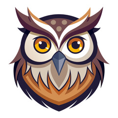 owl on white background 