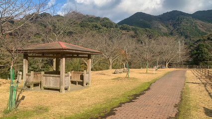 薬王寺水辺公園の風景