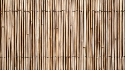 bamboo background texture - ai