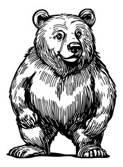 Vector file of a hand-drawn bear in an elegant sketch and line art style, featuring a transparent background for seamless integration into designs