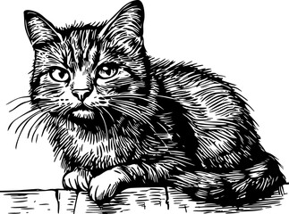 High-quality vector illustration of a hand-drawn cat, created in sketch style with intricate line art, provided without a background for versatile use