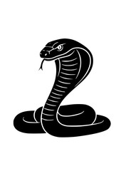 snake in black