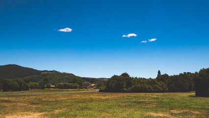 Public park rotorua new zealand summer clear day blue sky green grass calm peaceful 