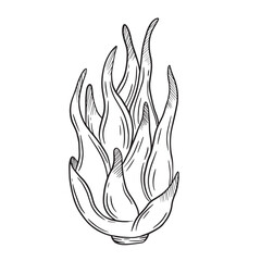 A stylish abstract plant illustration, ideal for various decorative uses and applications