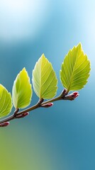 Vibrant green leaves gently unfold on a slender branch bathed in soft sunlight. AI Generated
